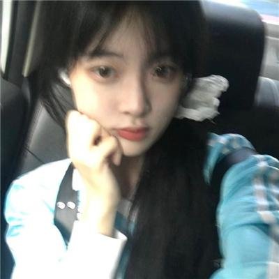 火之鸟772